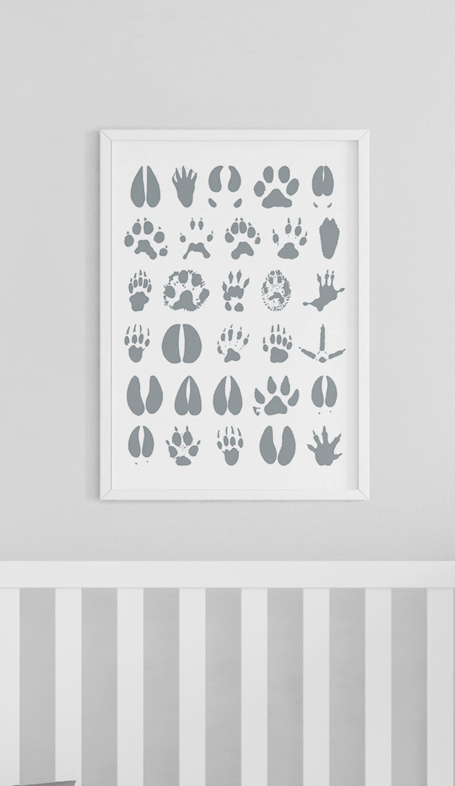 Affiche numérique | Animaux de la Forêt | Traces du Québec