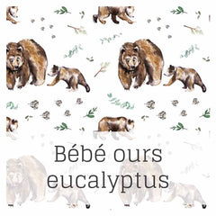 Bébé Ours Eucalyptus
