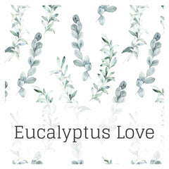 Eucalyptus Love
