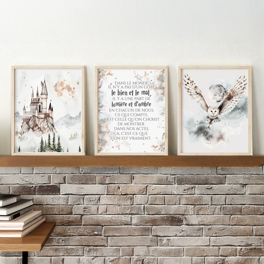 Ensemble de trois affiches numériques  | Château magique et citation